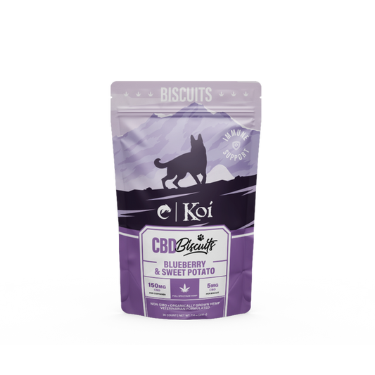 Koi Segundo Lab koi-segundo-lab